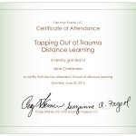 BlumeTOOT Certificate of Attendance.ppt